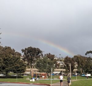 Soccer Field image 3