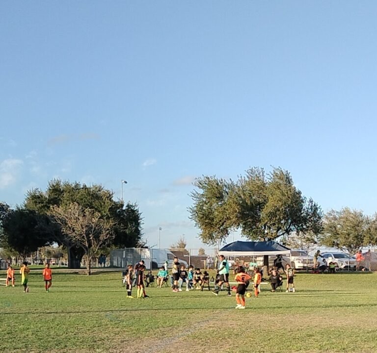 Soccer Field image 2