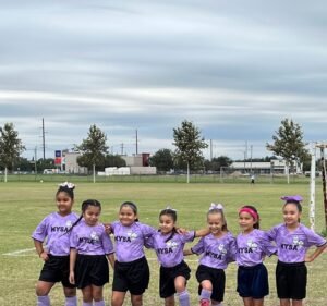 Soccer Field image 3