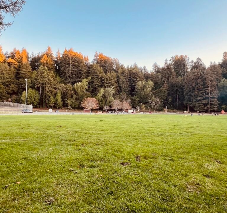 Soccer Field image 2