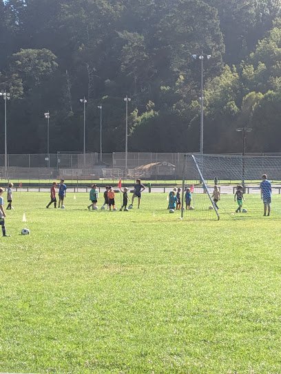 Soccer Field image 1