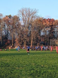 Soccer Field image 1