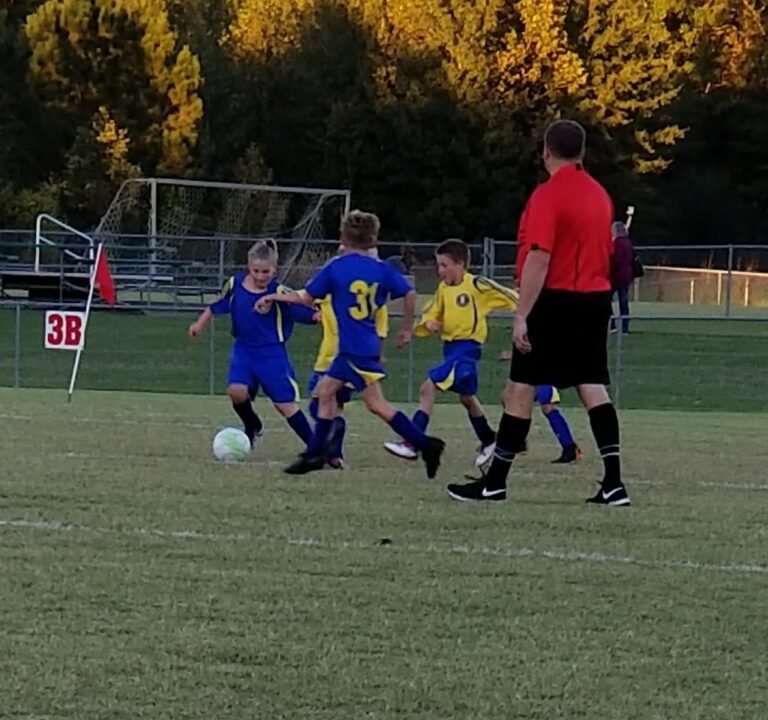 Soccer Field image 2