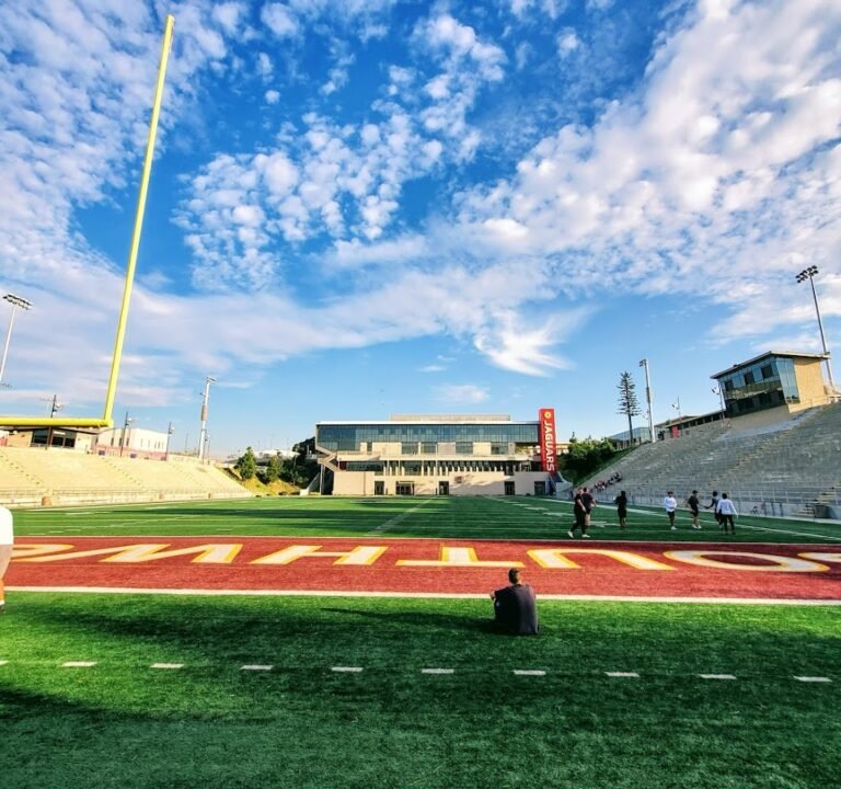Soccer Field image 2