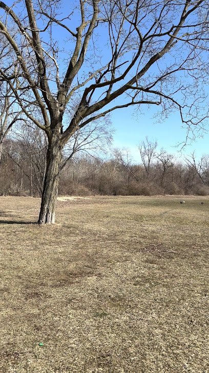 Soccer Field image 1
