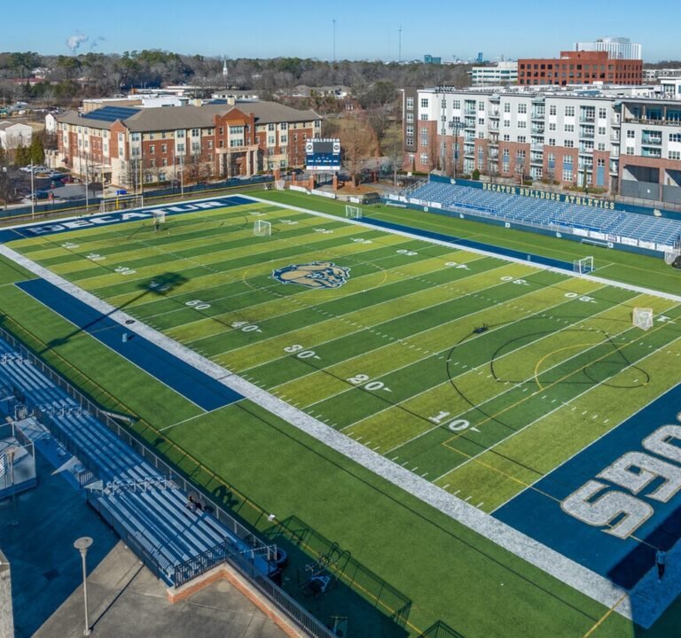 Soccer Field image 2