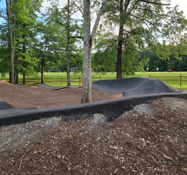 Soccer Field image 2