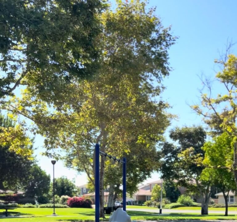 Soccer Field image 4