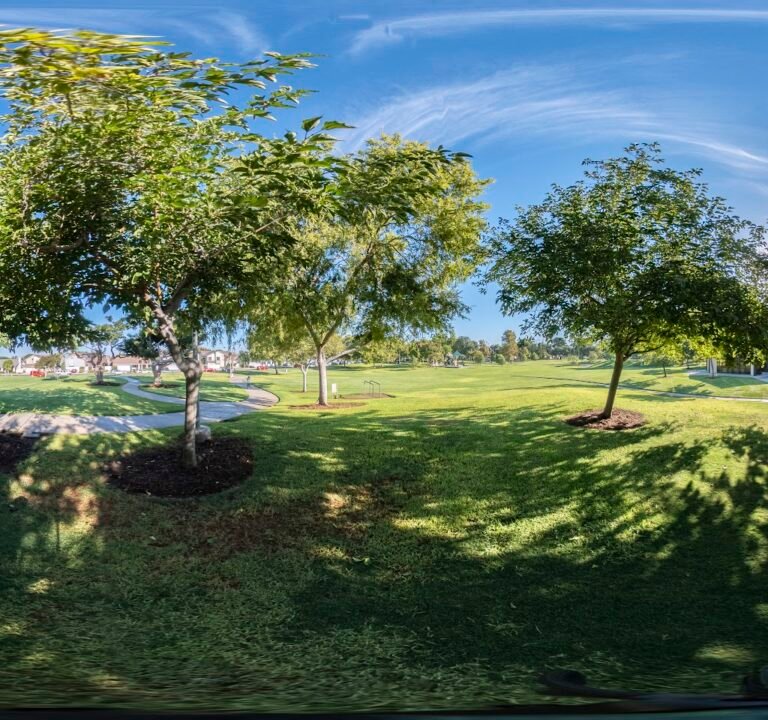 Soccer Field image 3