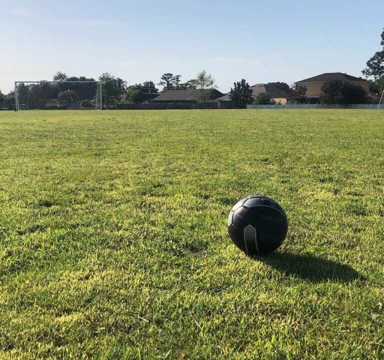 Soccer Field image 3