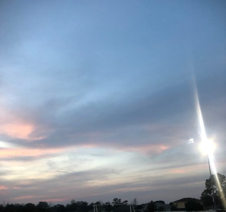 Soccer Field image 2