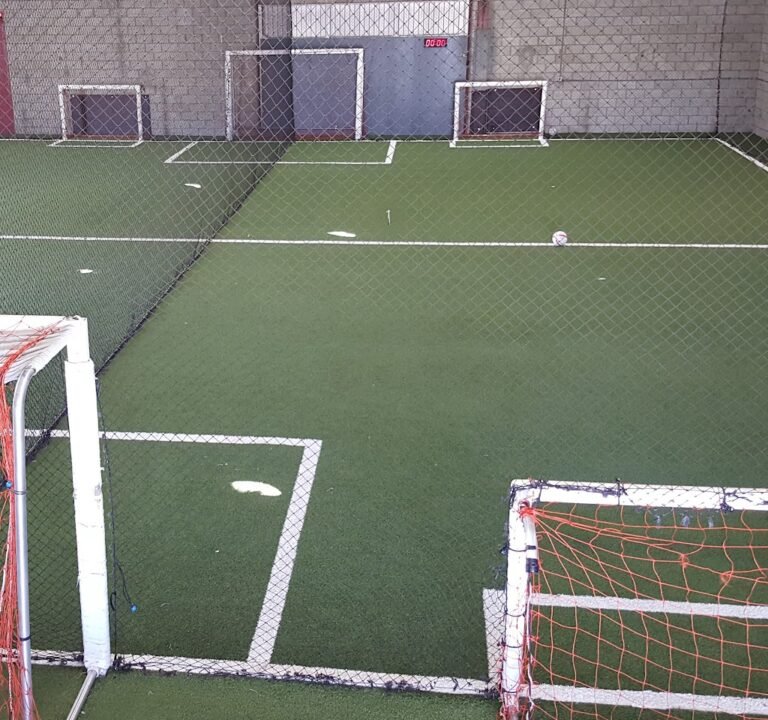 Soccer Field image 3