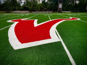 Soccer Field image 1