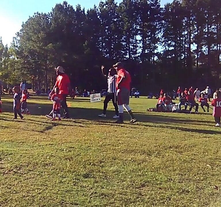 Soccer Field image 4