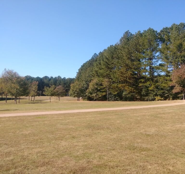 Soccer Field image 2