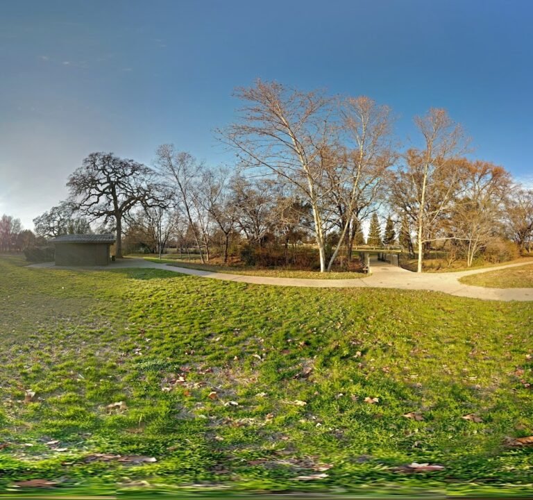 Soccer Field image 3