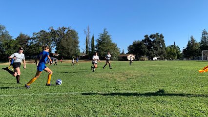 Soccer Field image 1