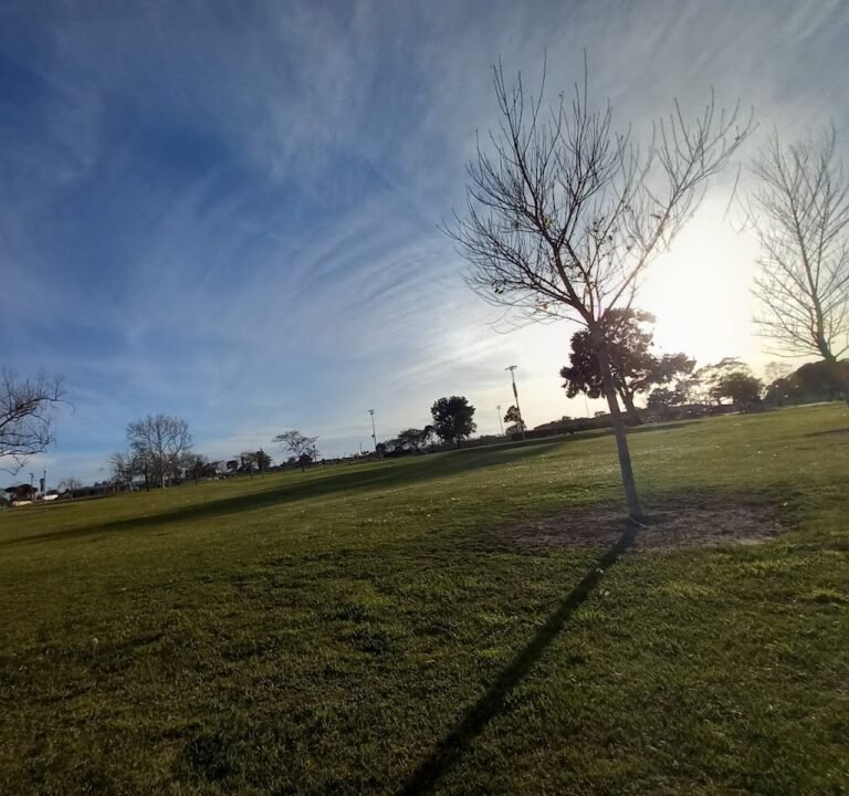 Soccer Field image 2