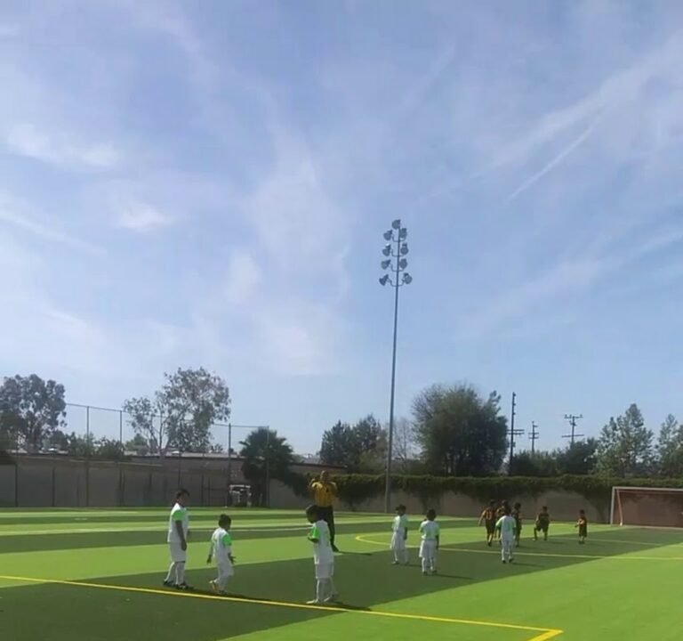 Soccer Field image 4