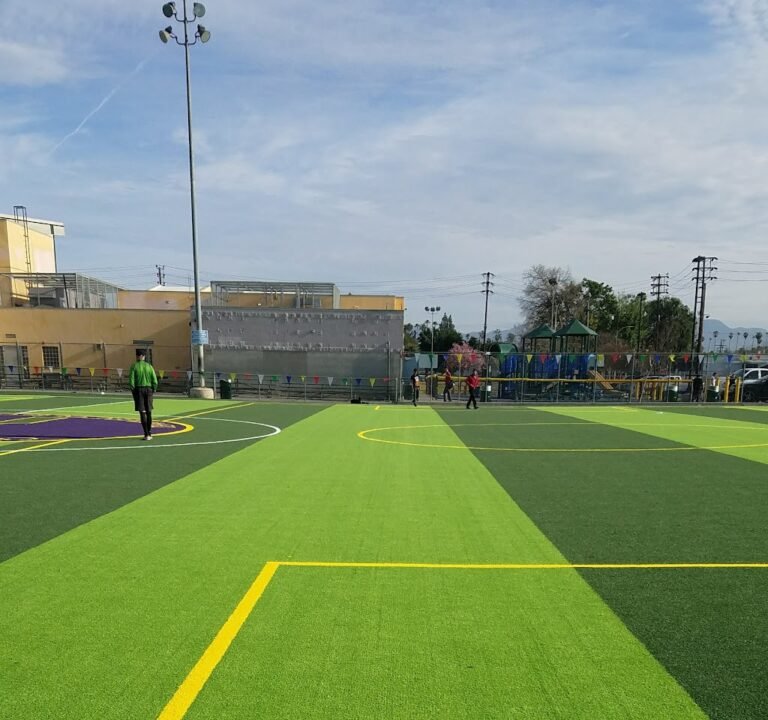 Soccer Field image 2