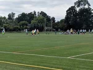 Soccer Field image 1