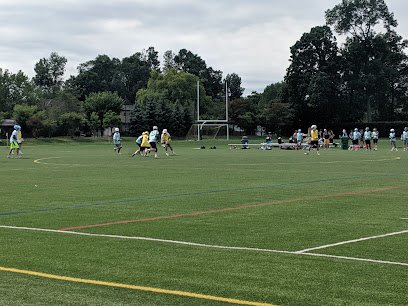 Soccer Field image 1