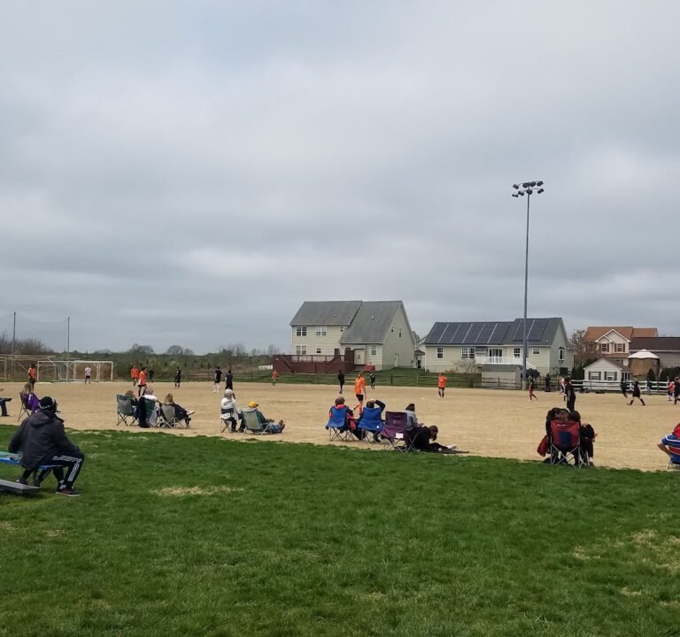 Soccer Field image 2