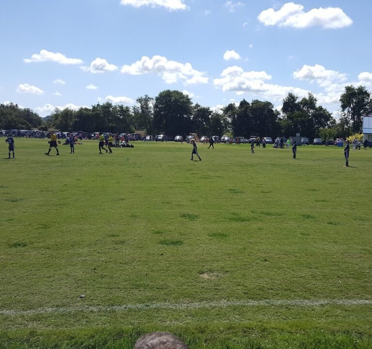 Soccer Field image 3