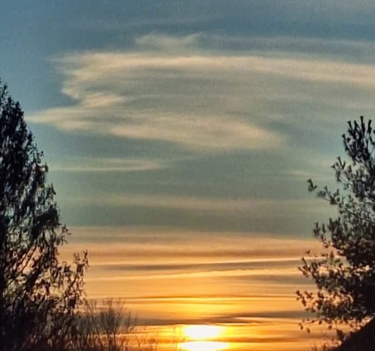 Soccer Field image 3