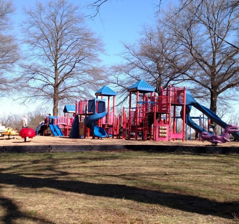 Soccer Field image 2