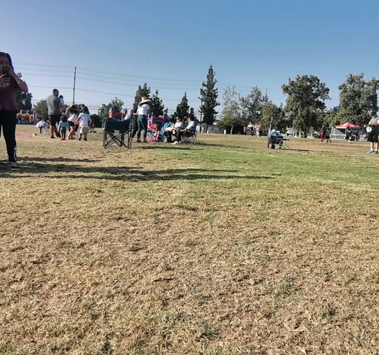 Soccer Field image 4