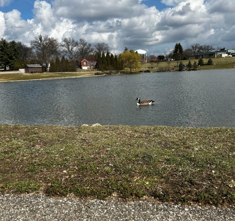 Soccer Field image 2