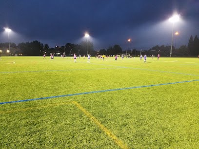 Soccer Field image 1