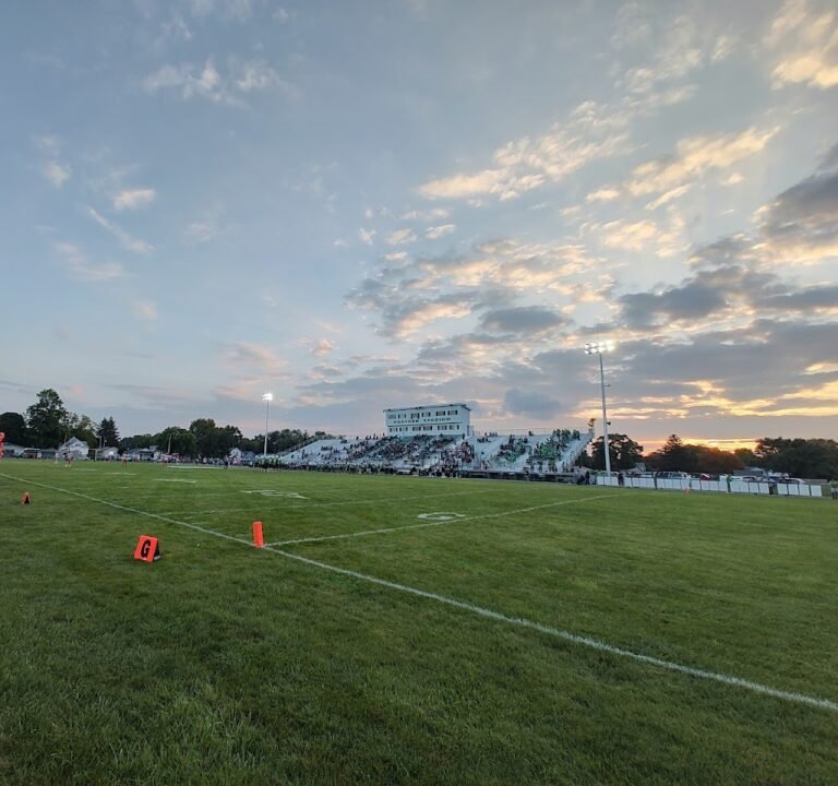Soccer Field image 2