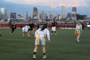Soccer Field image 1