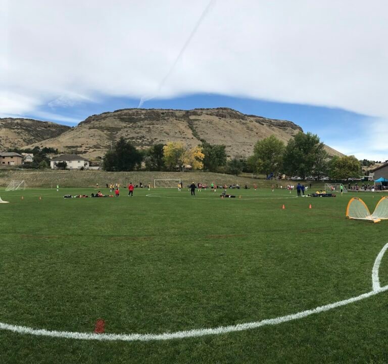 Soccer Field image 2