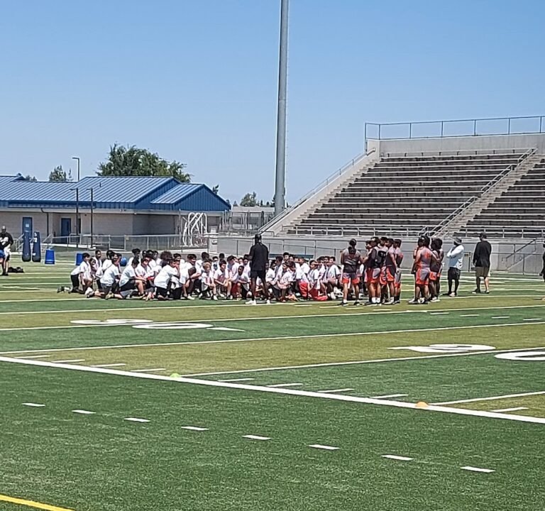 Soccer Field image 2