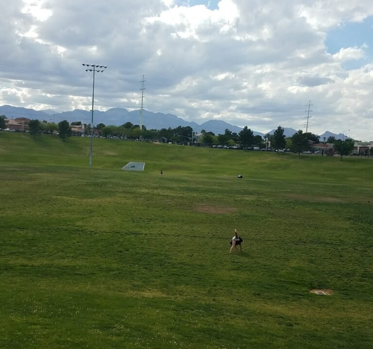 Soccer Field image 2