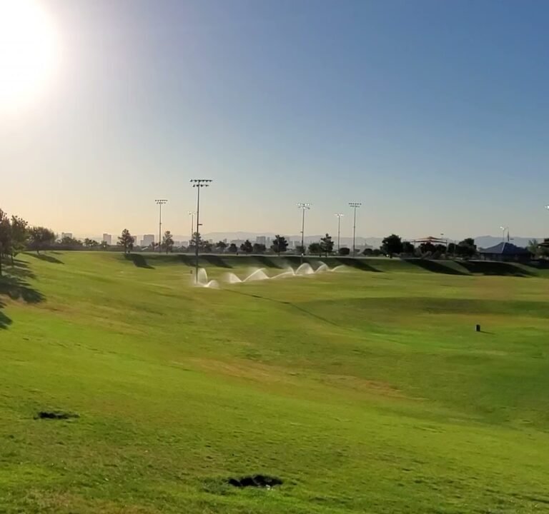 Soccer Field image 3