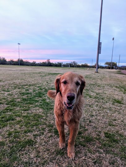 Soccer Field image 1