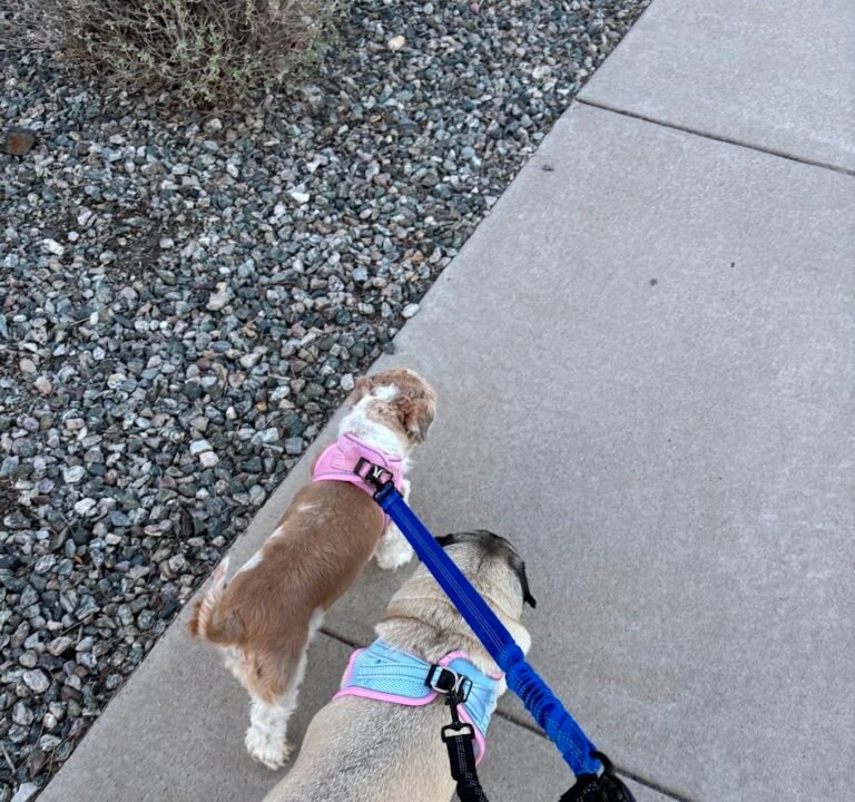 Soccer Field image 3