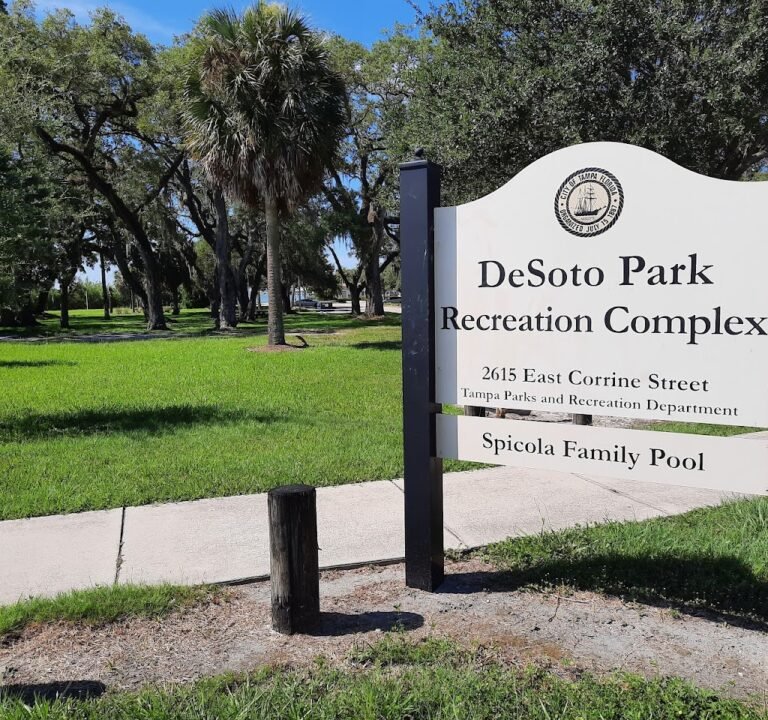 Soccer Field image 2