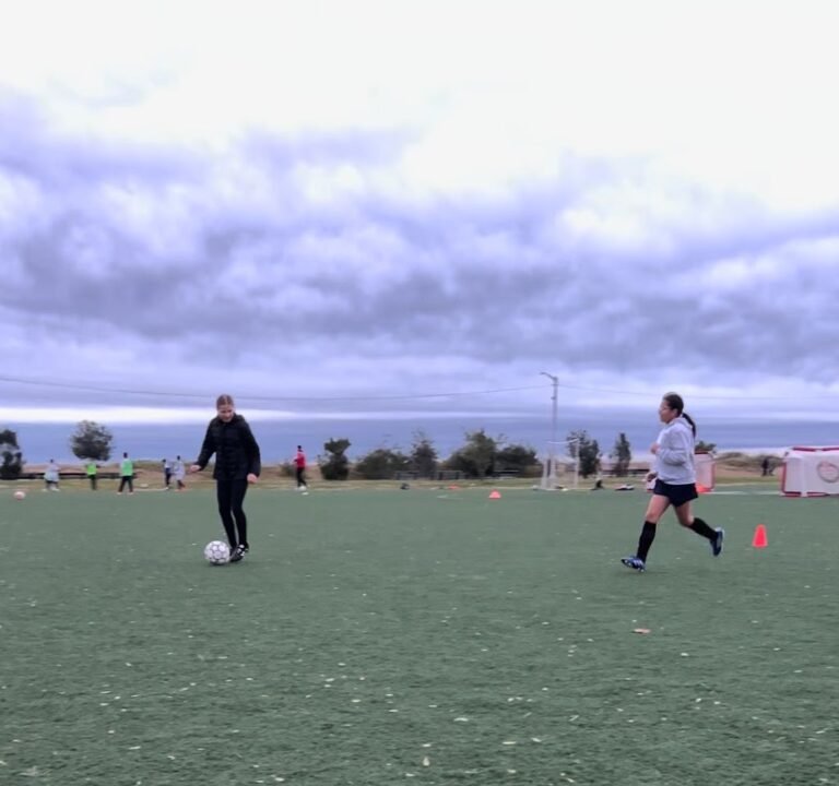 Soccer Field image 3