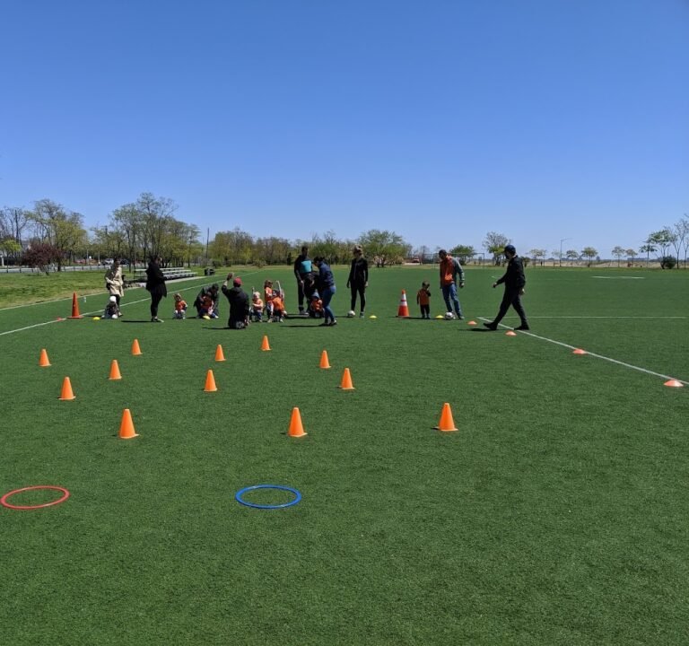 Soccer Field image 2