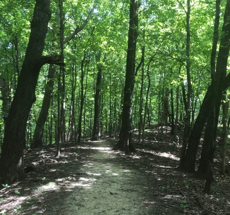 Soccer Field image 3