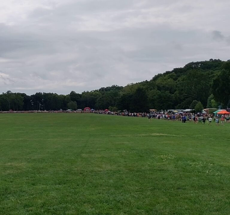 Soccer Field image 4