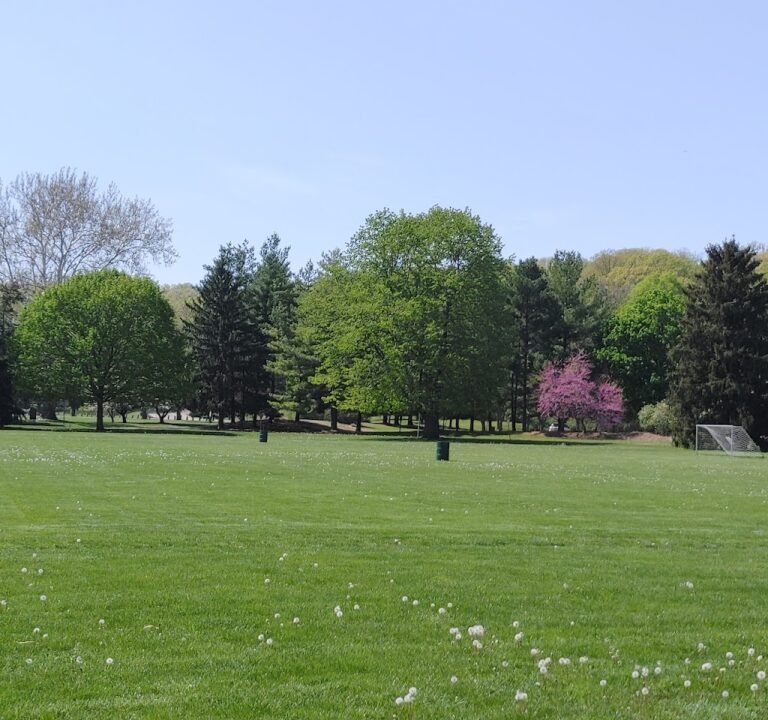 Soccer Field image 2