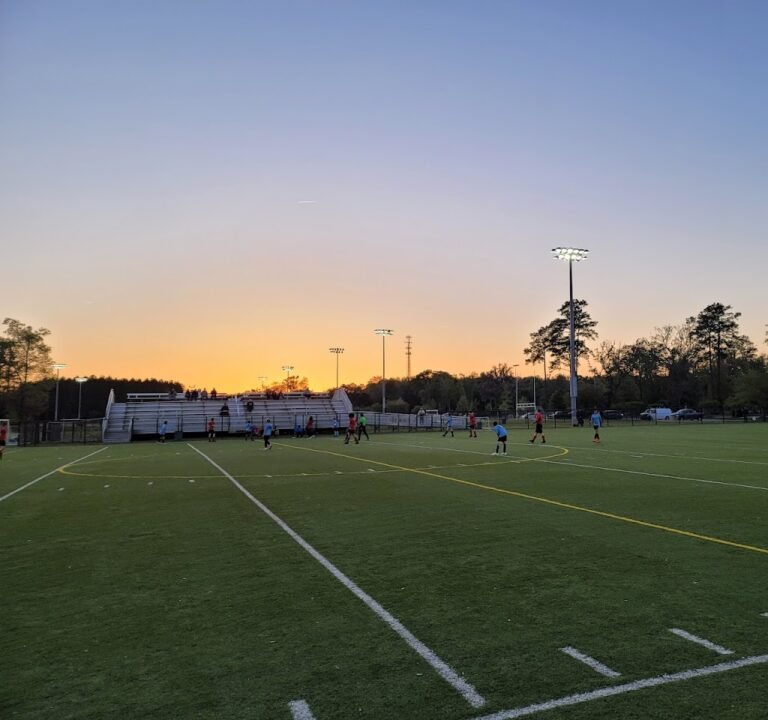 Soccer Field image 2