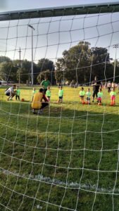 Soccer Field image 1
