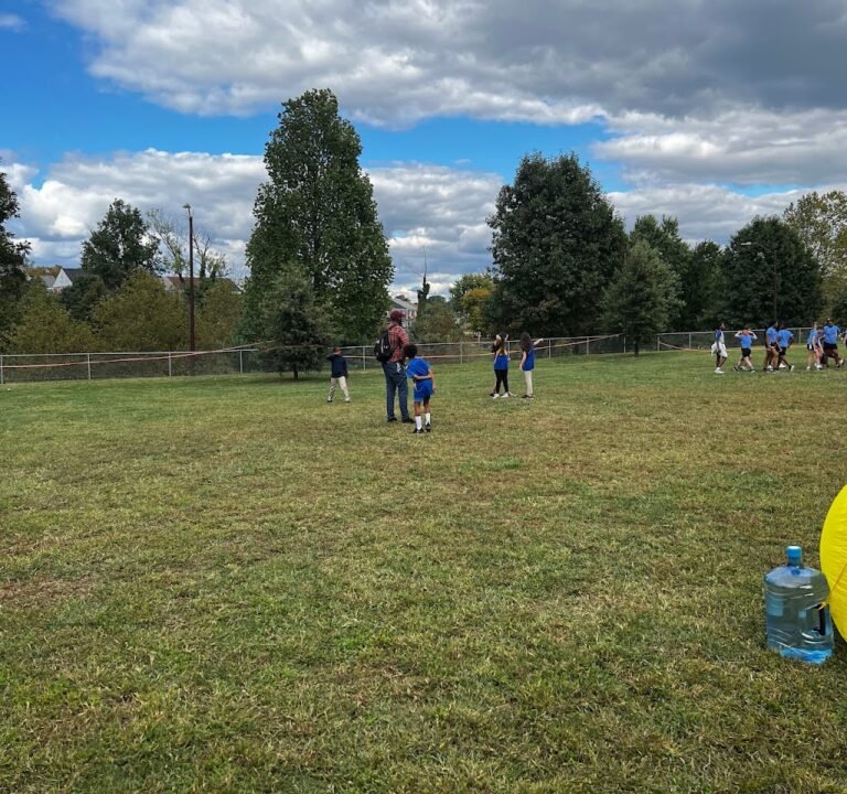 Soccer Field image 2